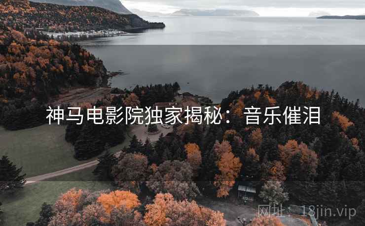 神马电影院独家揭秘：音乐催泪